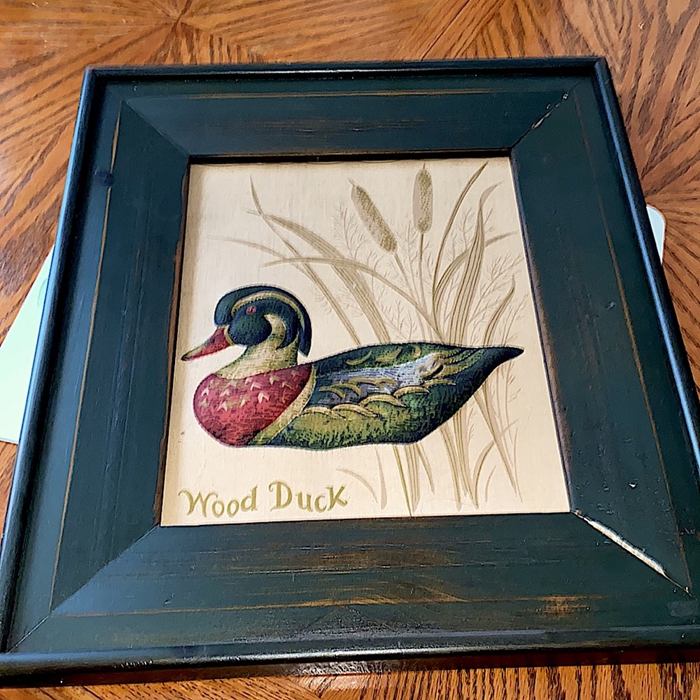 Vintage Duck portrait